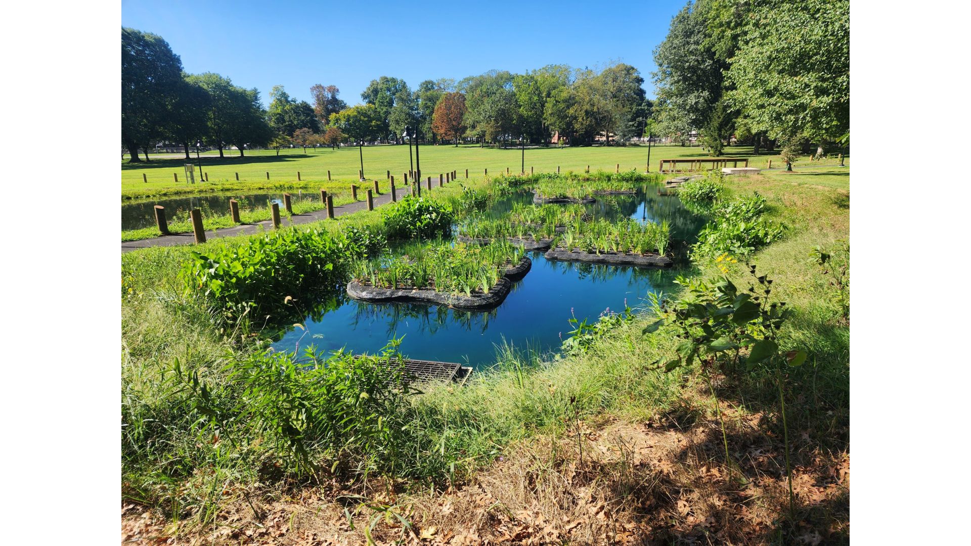 «10 хвилин пішки і ти в парку»: нове бачення зелених просторів міста