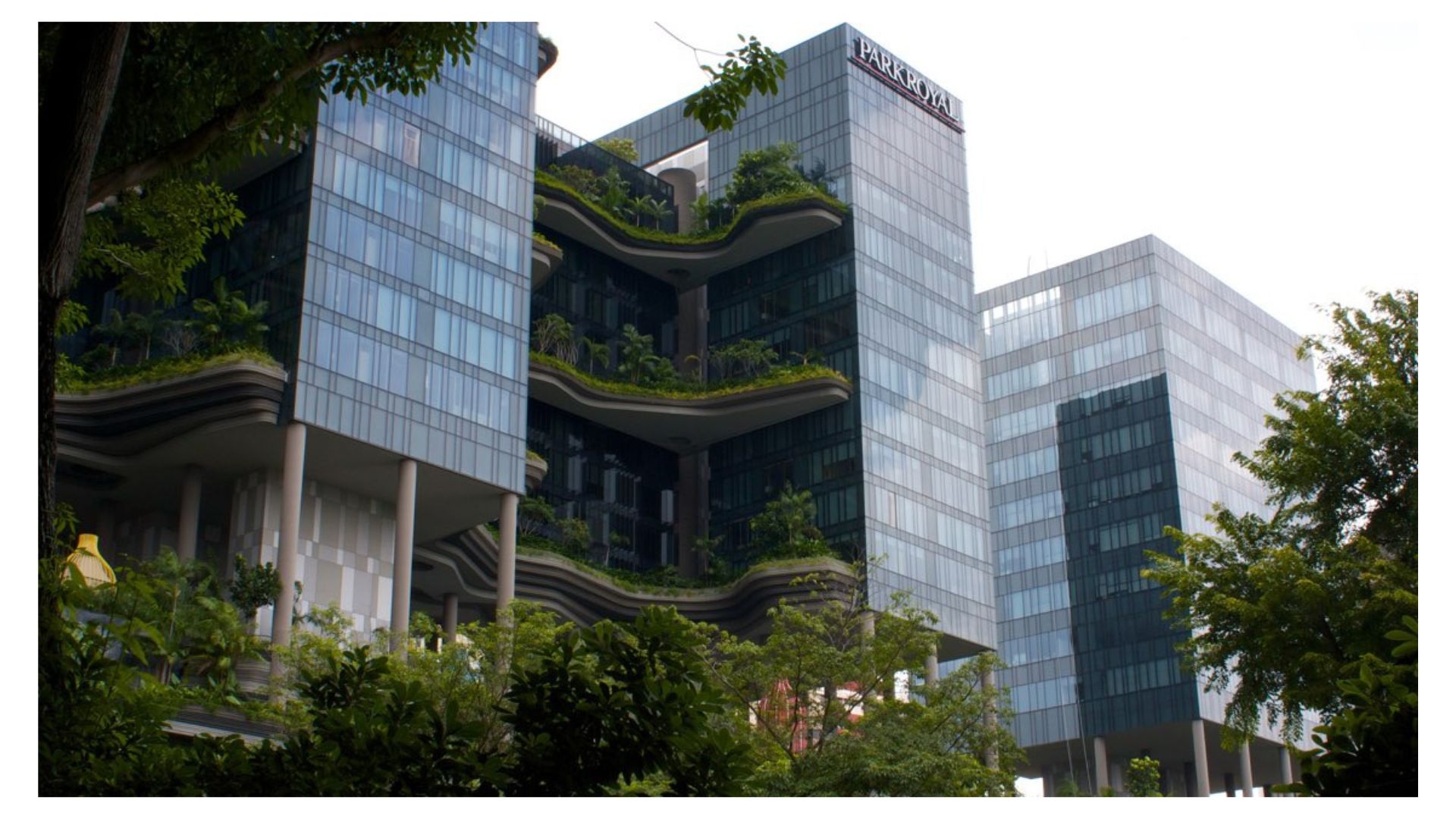 «10 хвилин пішки і ти в парку»: нове бачення зелених просторів міста