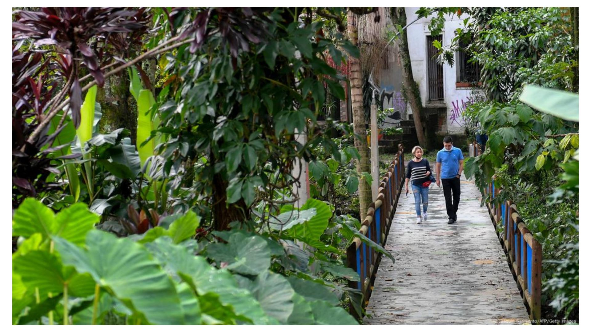 «10 хвилин пішки і ти в парку»: нове бачення зелених просторів міста