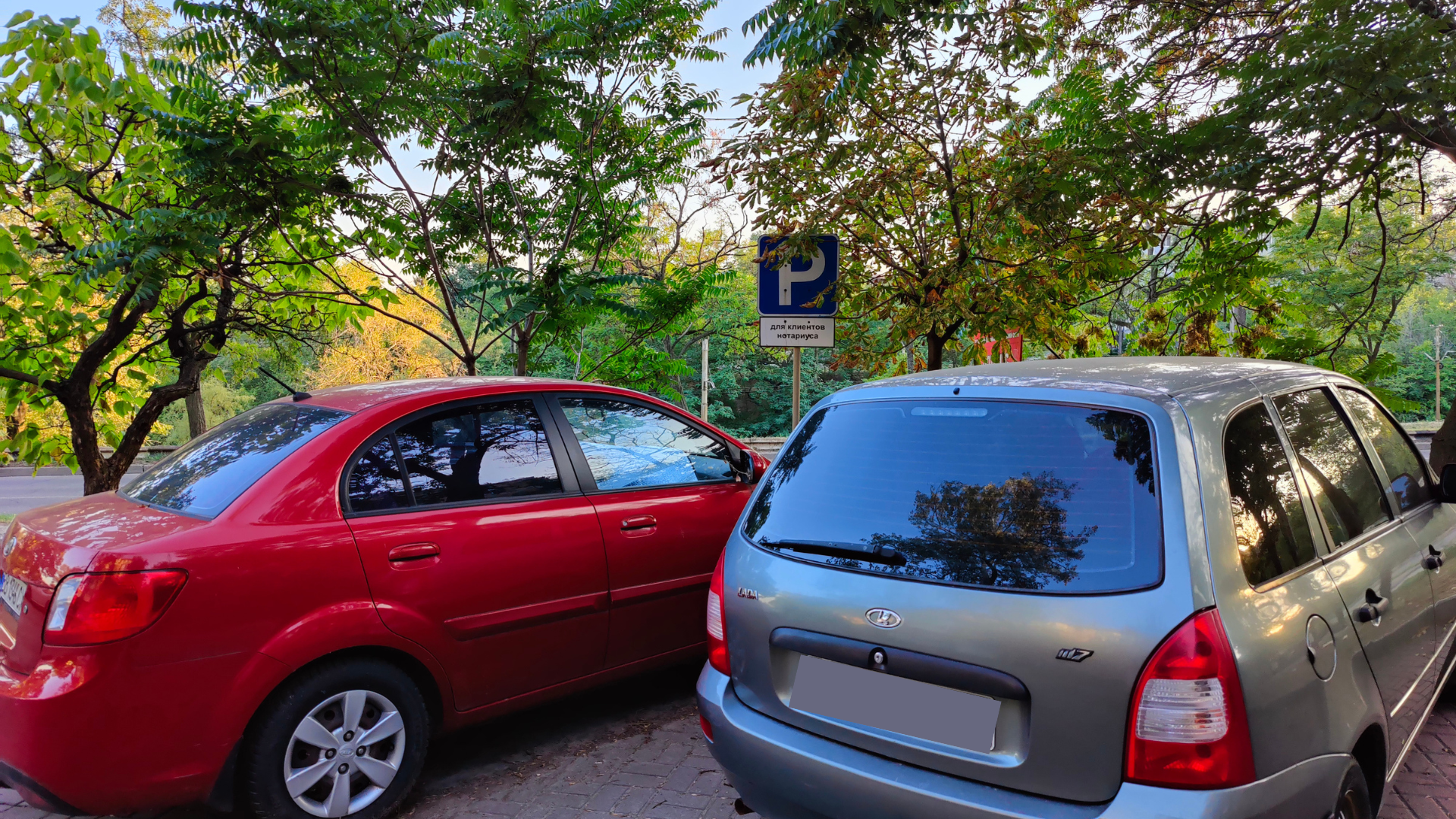 «Приватні» парковки біля закладів: що каже закон і хто має контролювати ситуацію в Запоріжжі