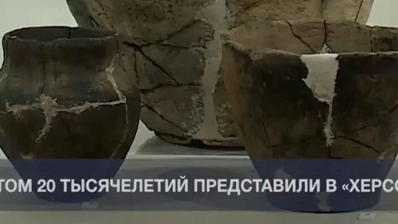 Росіяни викрали понад 30 об’єктів спадщини з музею «Кам’яна Могила»