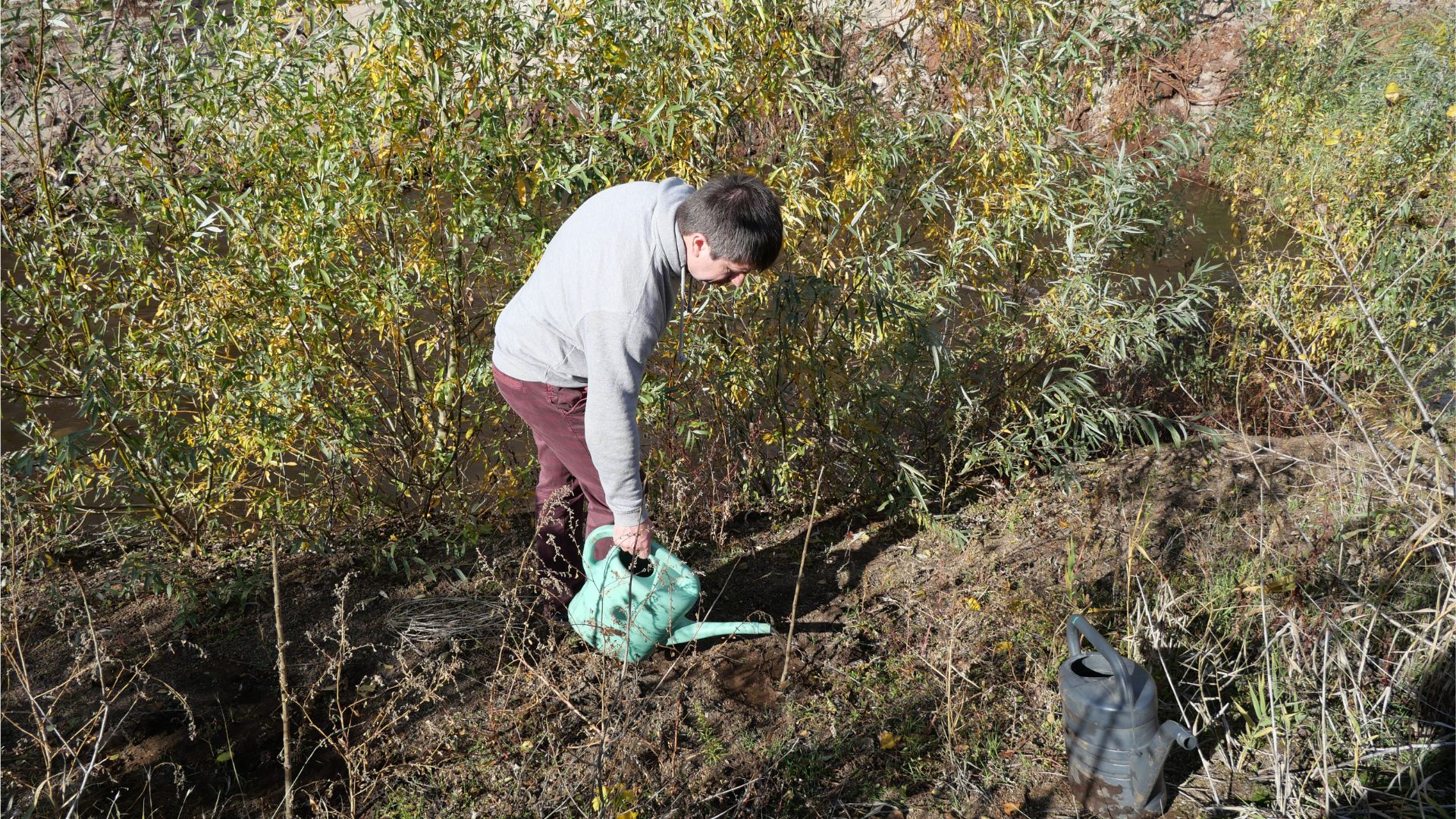 «Палаюча Москва» на берегах Сухої: як запоріжці рятують річку бузковою толокою