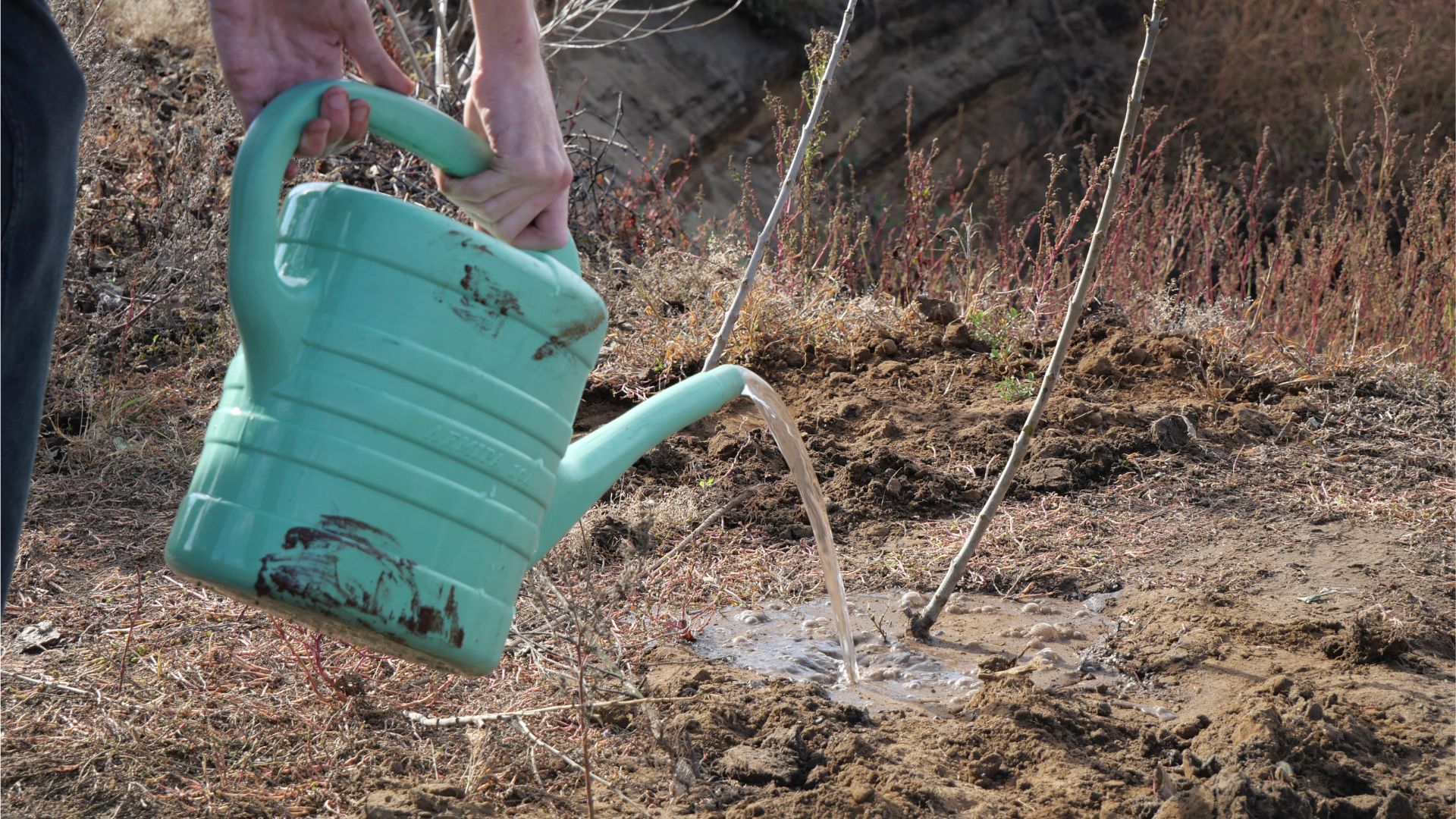Чи є місце малим річкам в житті Запоріжжя: програми, гроші і громадськість, що діє