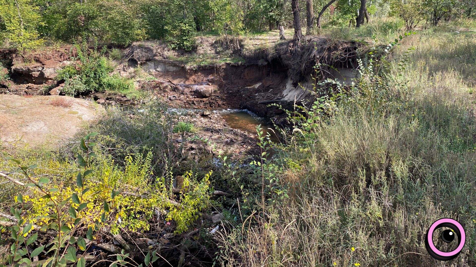 Річкова експедиція та «Палаюча Москва»: екоактивісти запрошують долучитися до «бузкового» берегоукріплення