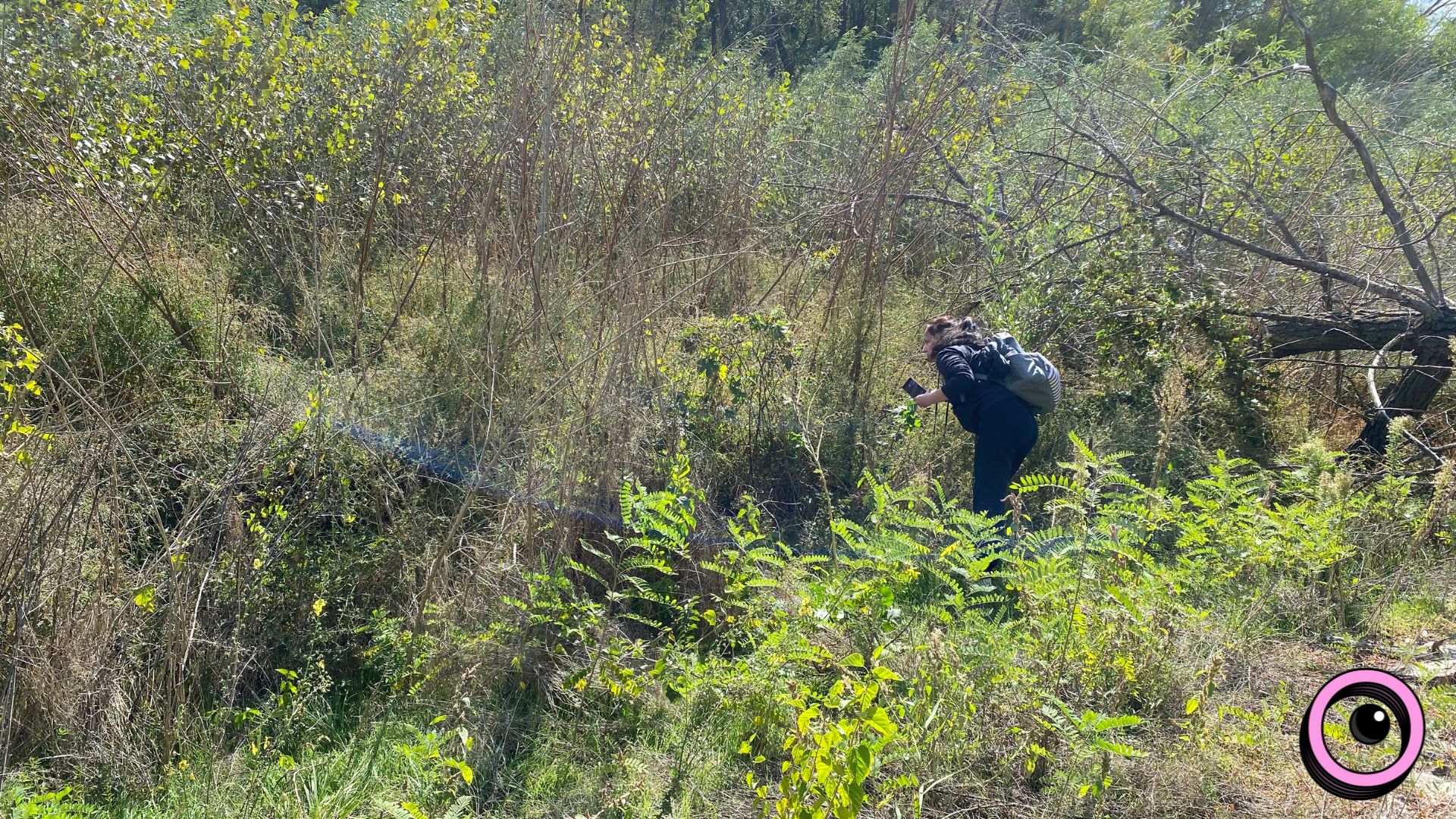 Річкова експедиція та «Палаюча Москва»: екоактивісти запрошують долучитися до «бузкового» берегоукріплення