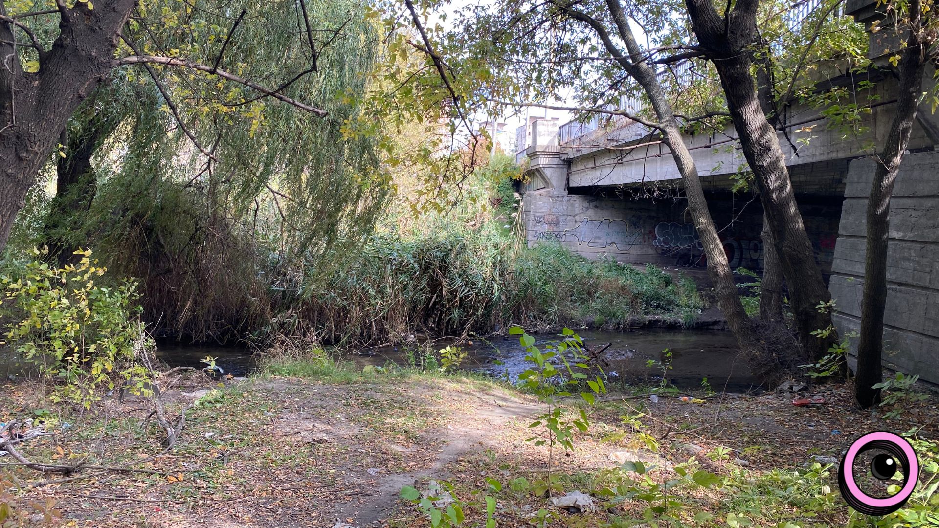 Річкова експедиція та «Палаюча Москва»: екоактивісти запрошують долучитися до «бузкового» берегоукріплення