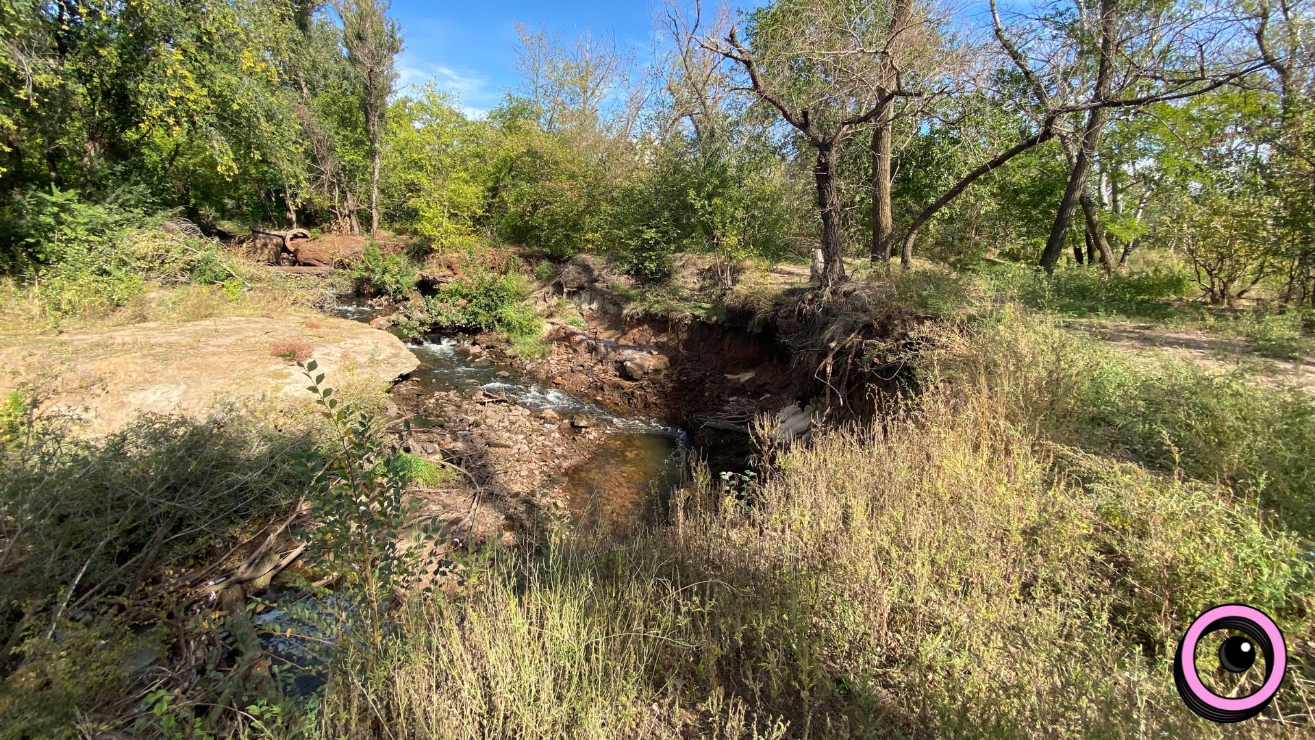 Річкова експедиція та «Палаюча Москва»: екоактивісти запрошують долучитися до «бузкового» берегоукріплення
