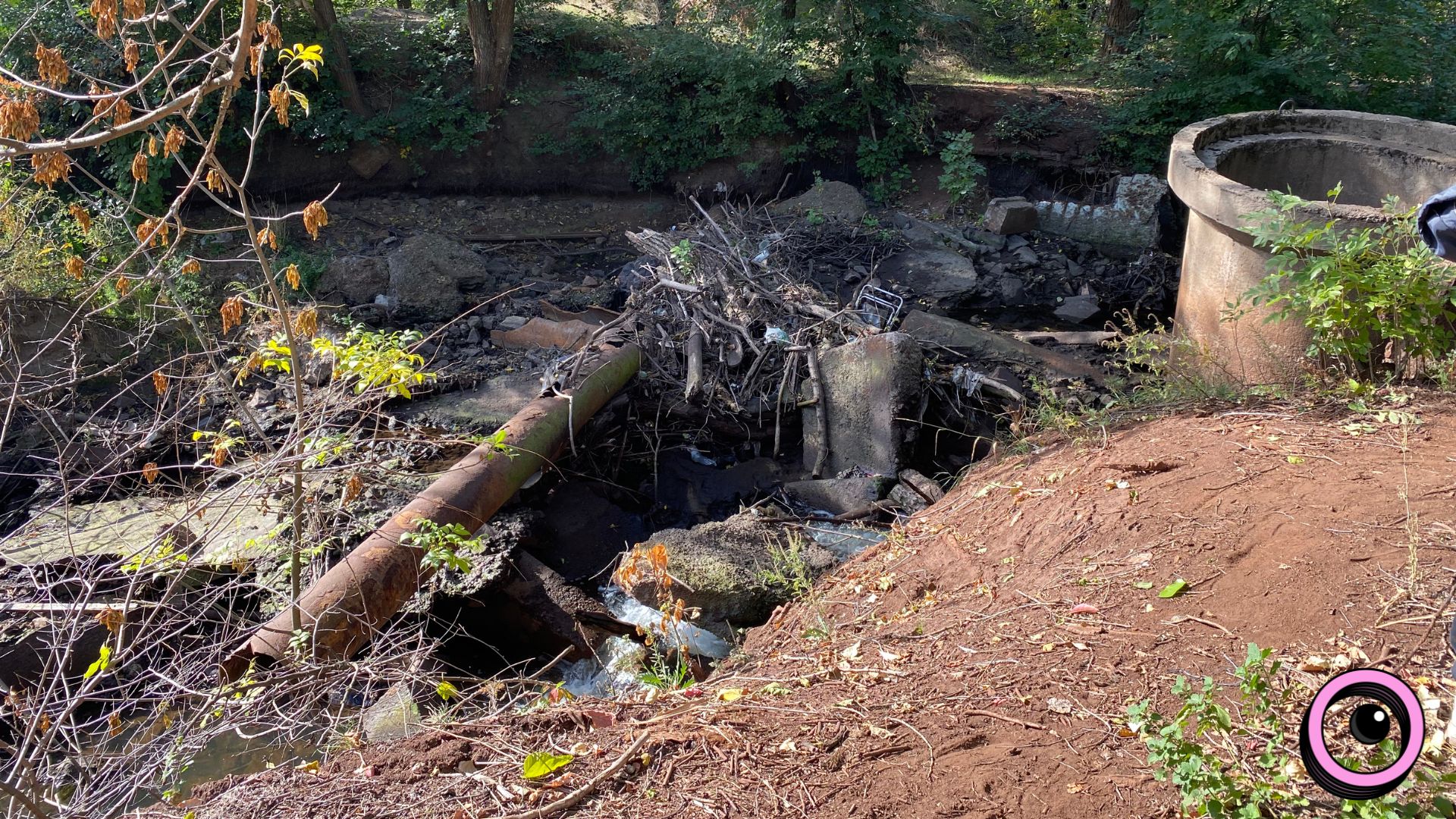 Річкова експедиція та «Палаюча Москва»: екоактивісти запрошують долучитися до «бузкового» берегоукріплення