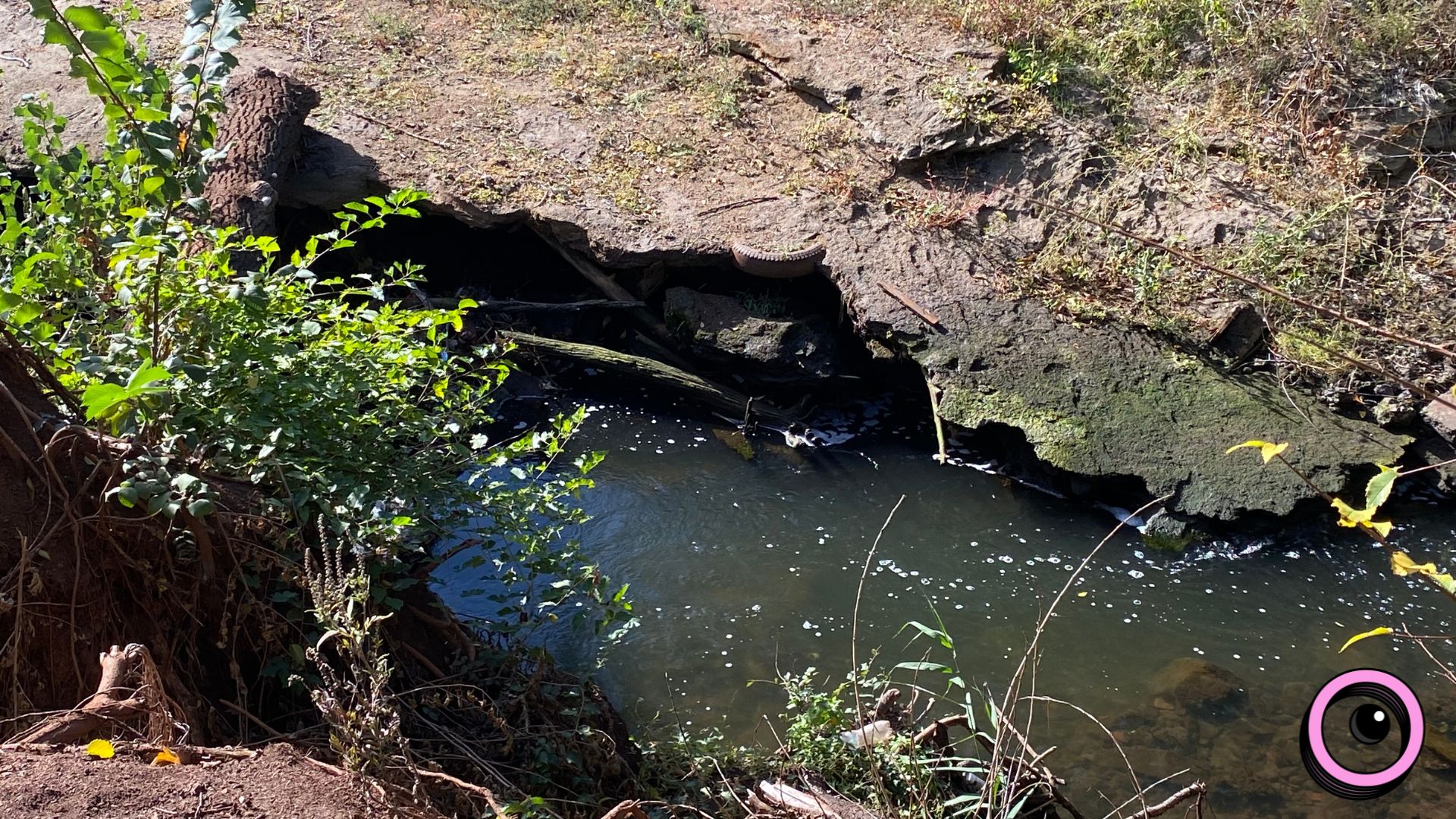 Річкова експедиція та «Палаюча Москва»: екоактивісти запрошують долучитися до «бузкового» берегоукріплення