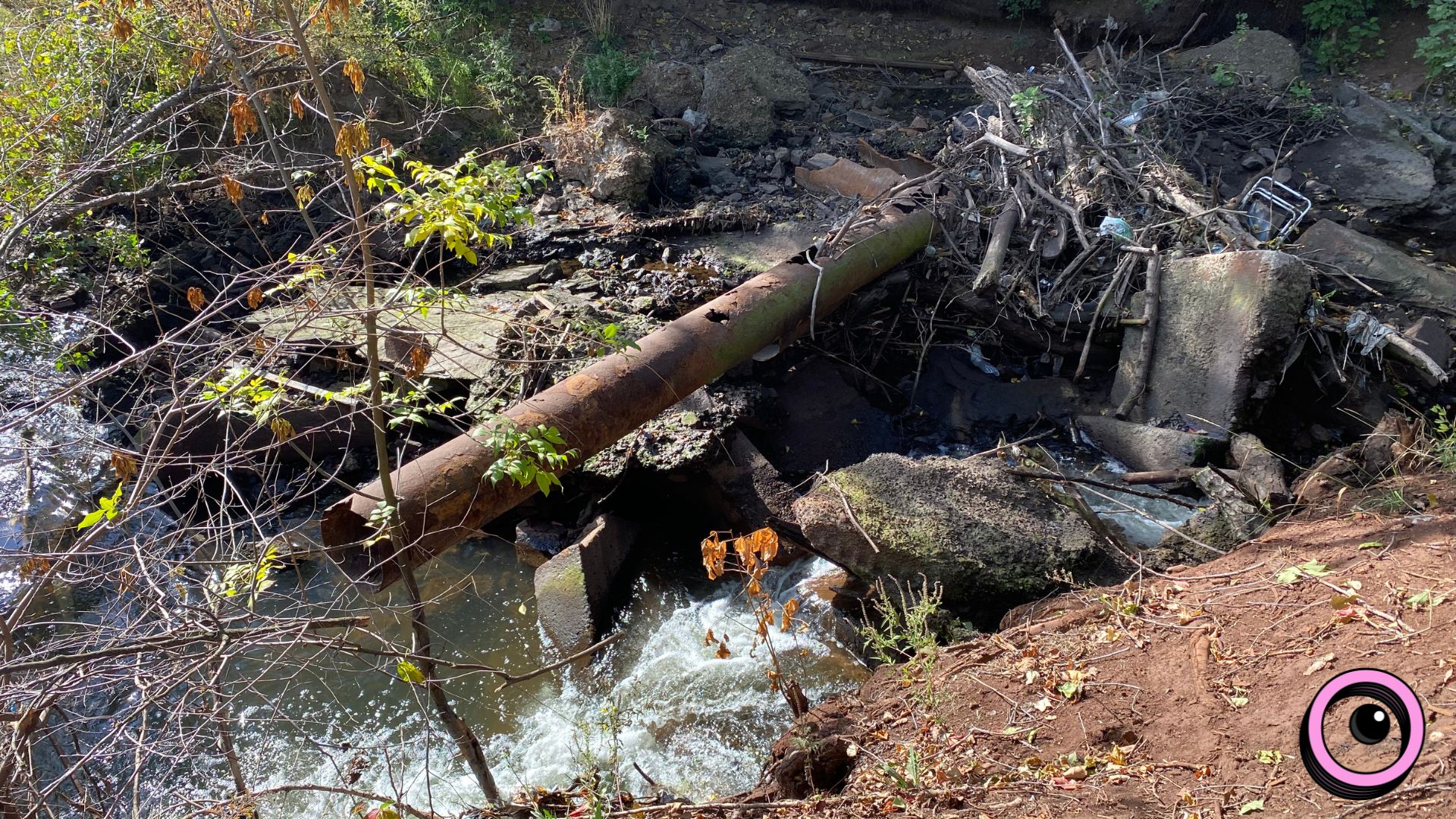 Річкова експедиція та «Палаюча Москва»: екоактивісти запрошують долучитися до «бузкового» берегоукріплення