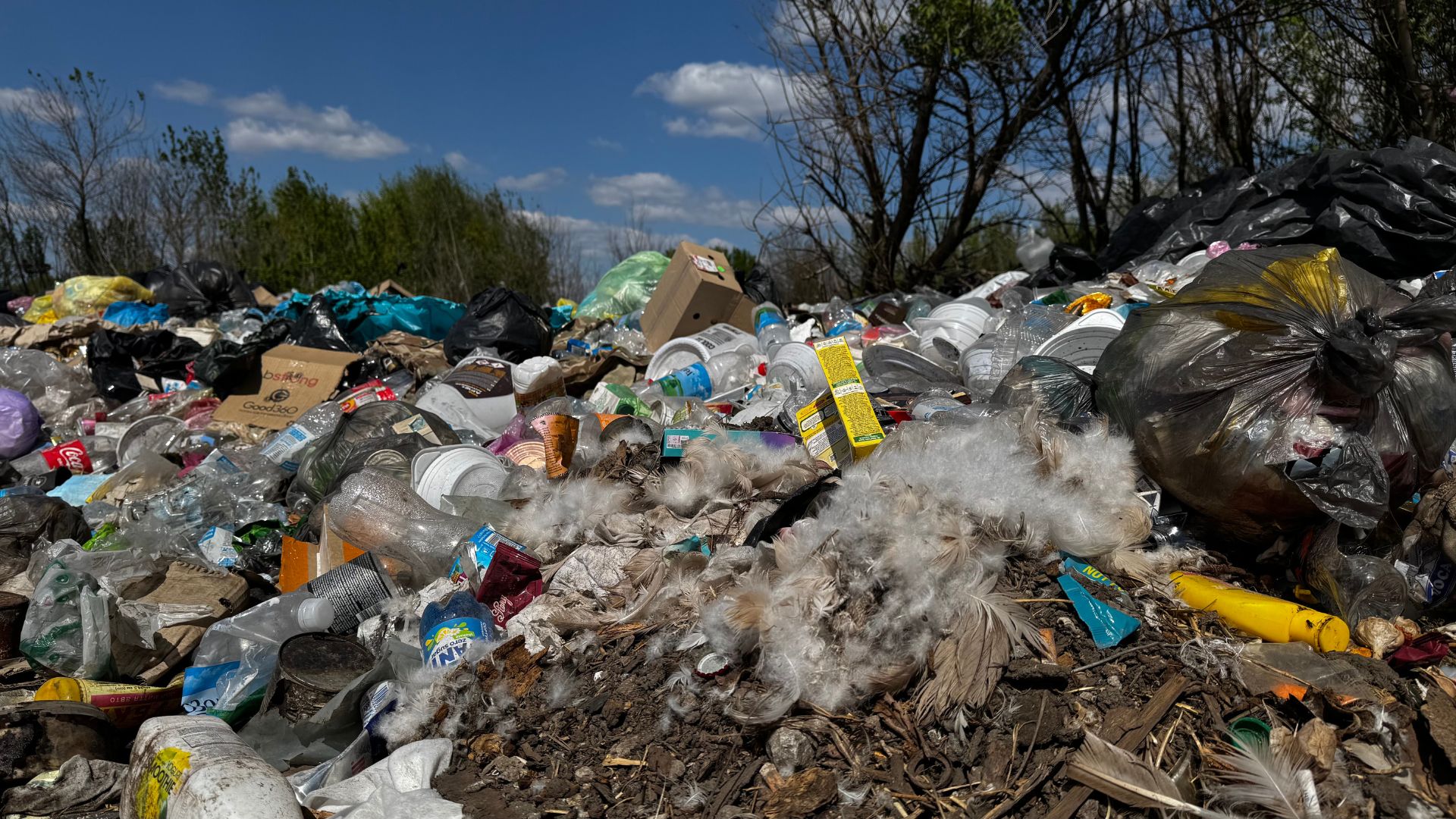 Узаконене сміття: як у Тернуватській громаді смітники біля водойм і полів стали «тимчасовими майданчиками»