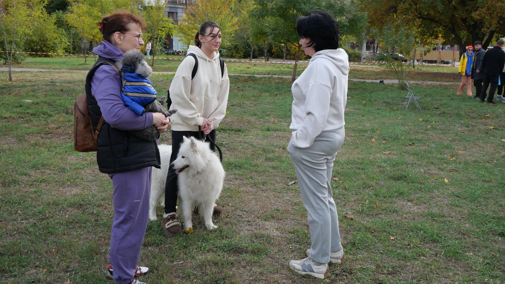 Тепло сердець і лап: у сквері Тарасова відбувся благодійний захід у підтримку притулку «Шанс»