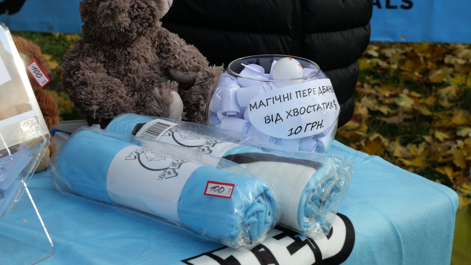 Тепло сердець і лап: у сквері Тарасова відбувся благодійний захід у підтримку притулку «Шанс»