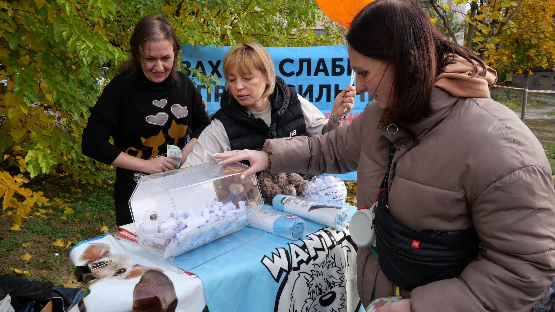 Тепло сердець і лап: у сквері Тарасова відбувся благодійний захід у підтримку притулку «Шанс»