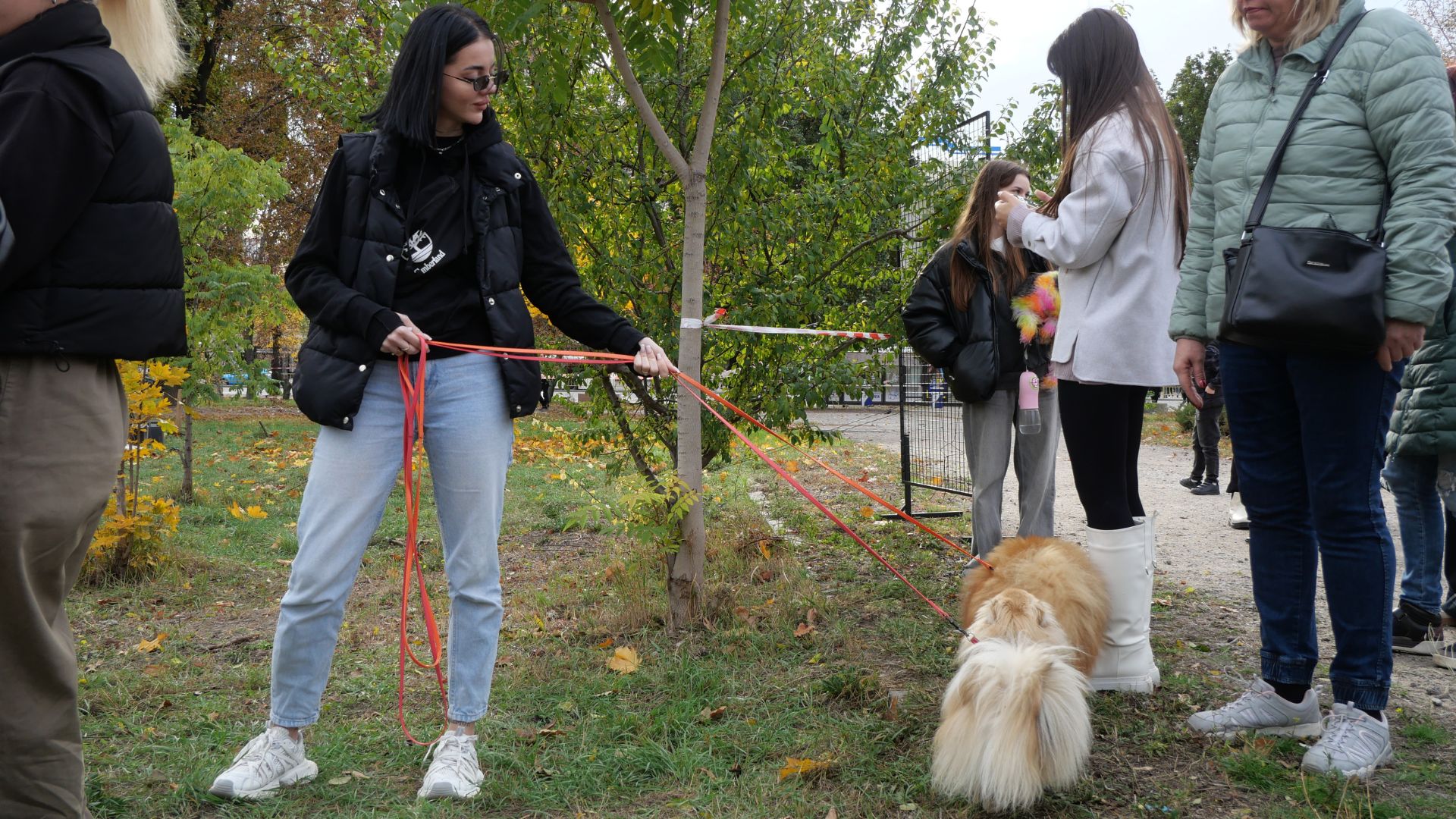 Тепло сердець і лап: у сквері Тарасова відбувся благодійний захід у підтримку притулку «Шанс»