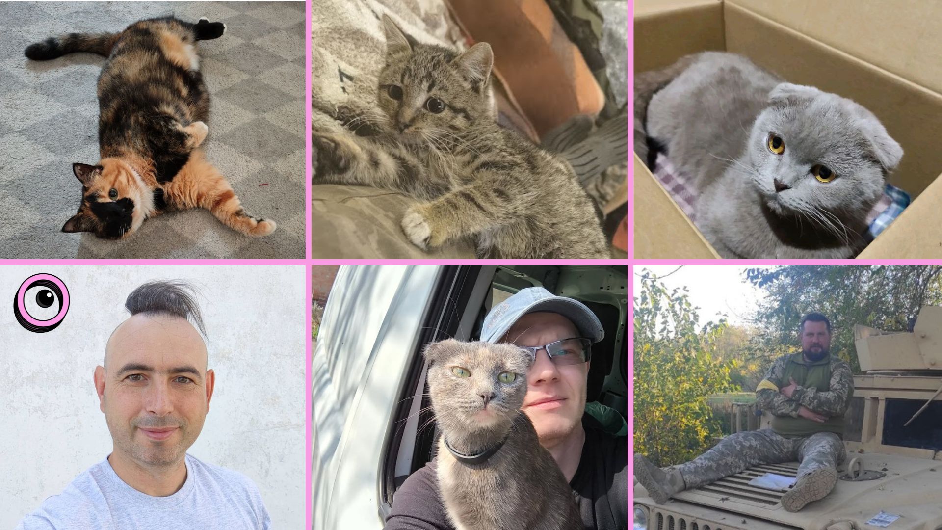 Врятовані з-під обстрілів: історії котиків, які стали частиною сімей запорізьких військових