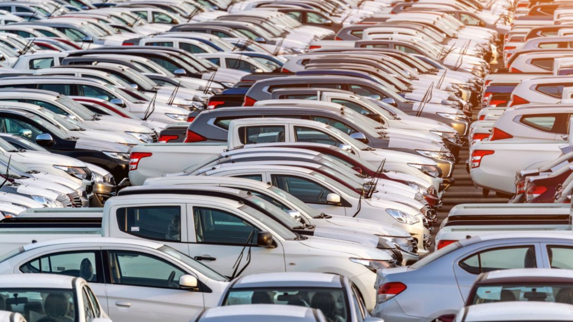 Запорізький слід у гуманітарних авто: які благодійні організації ввозили й продавали машини