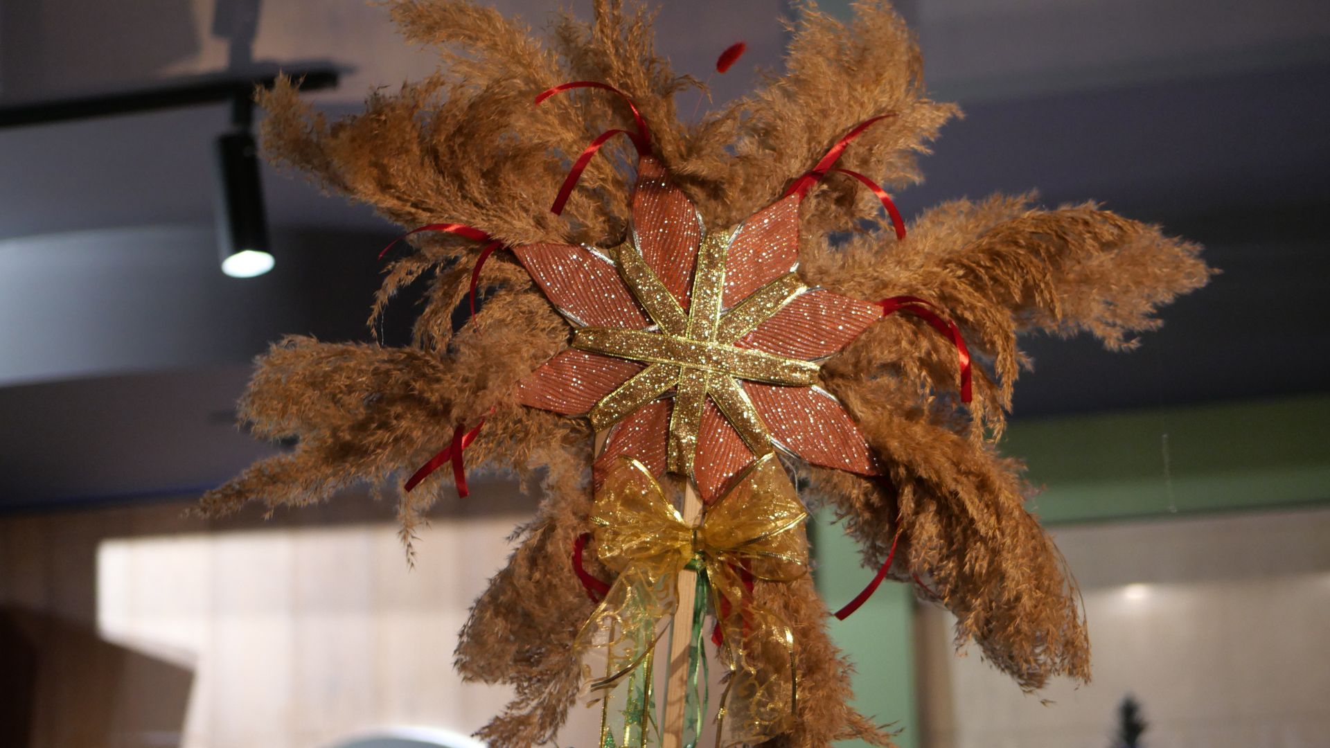 Коляд, коляд, колядниця: як запоріжці у Різдво збирали гроші на ЗСУ