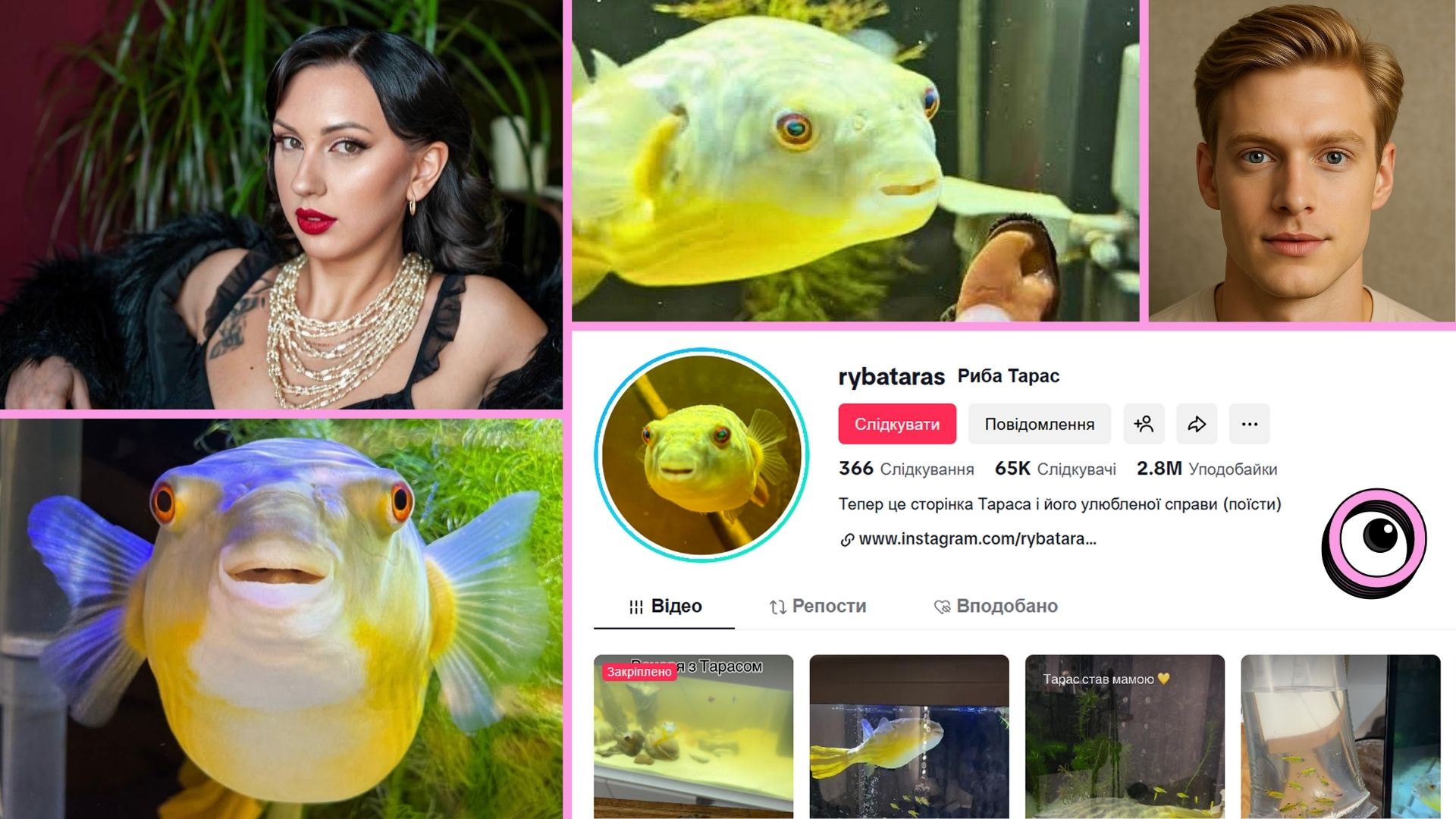 Рибка Тарас із Запоріжжя: як тетрадон з акваріума став зіркою TikTok і об’єднав спільноту