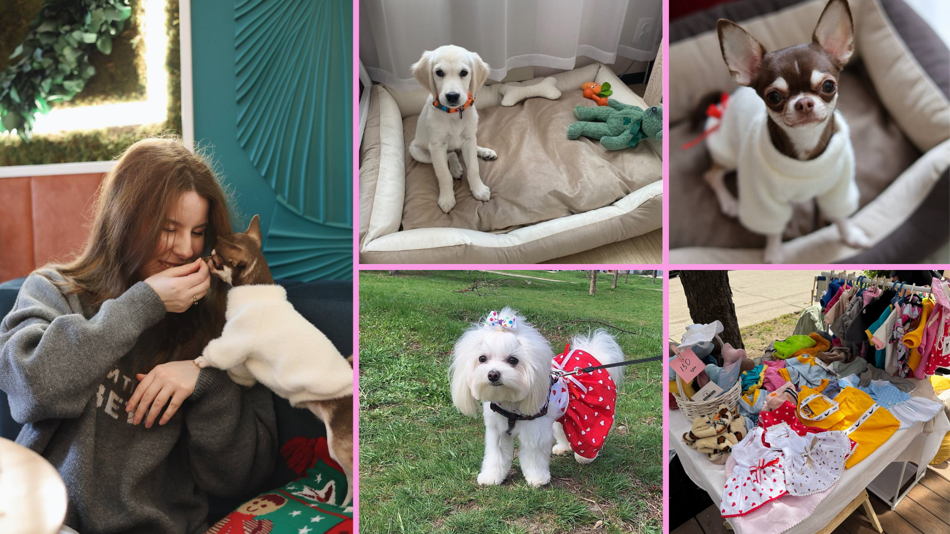 Pesyk: запорізький бренд, що народився з любові до собак та маминої машинки