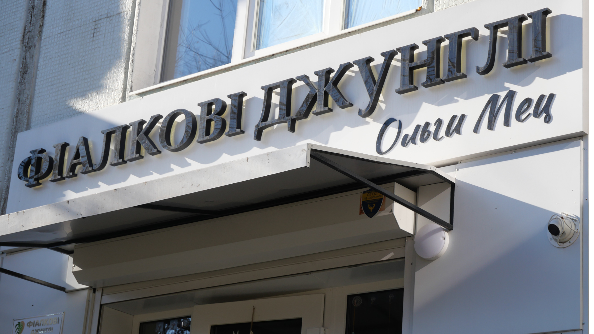 «Фіалкові джунглі»: як запоріжанка перетворила захоплення квітами на власну справу