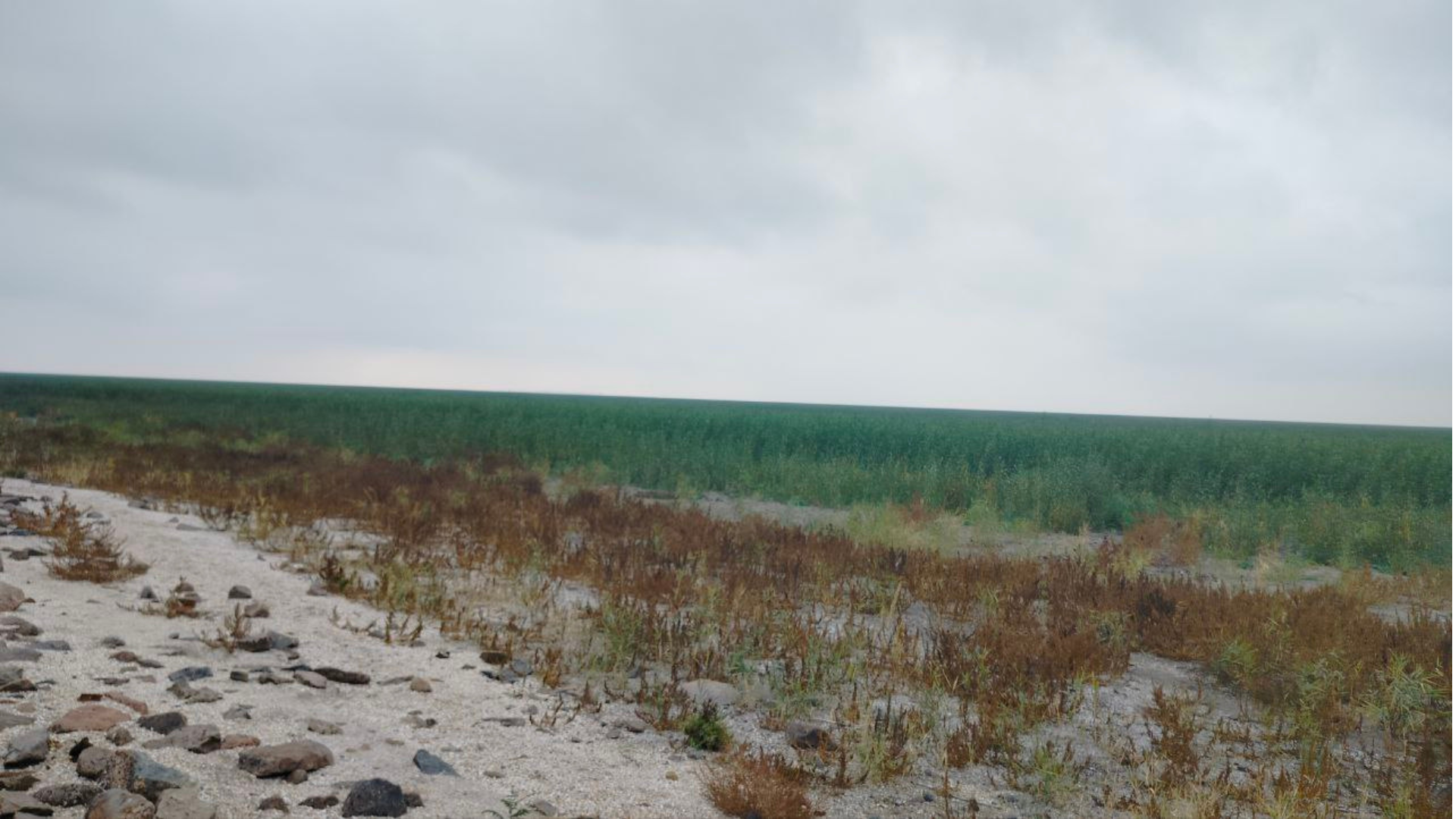 «Двері на замок, килими під ліжко, консервацію поглибше в підвал. А сльози? А сльози при собі»: 82-річна Валентина Грушко змінила рідну Малокатеринівку на Запоріжжя
