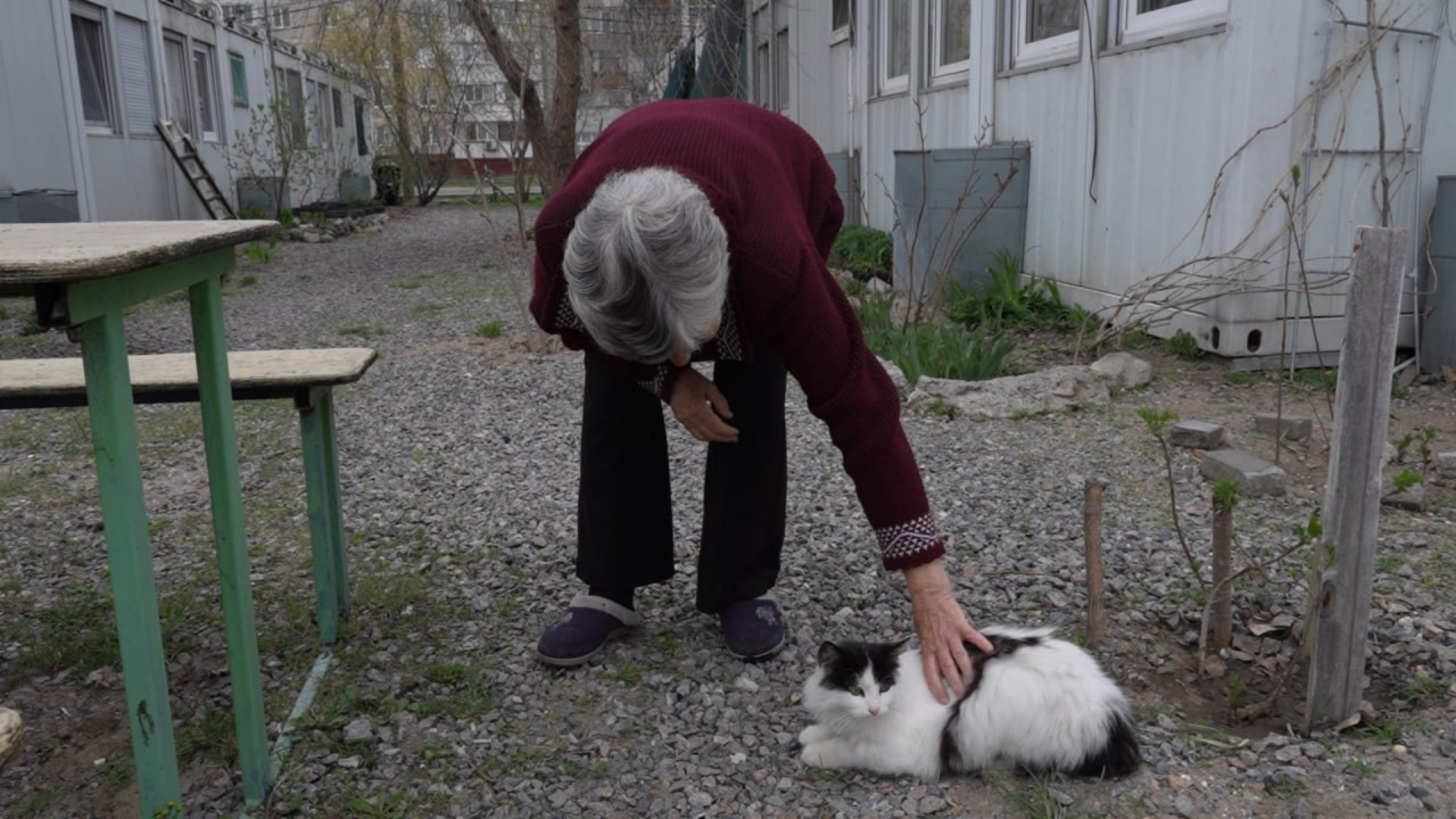 «Двері на замок, килими під ліжко, консервацію поглибше в підвал. А сльози? А сльози при собі»: 82-річна Валентина Грушко змінила рідну Малокатеринівку на Запоріжжя