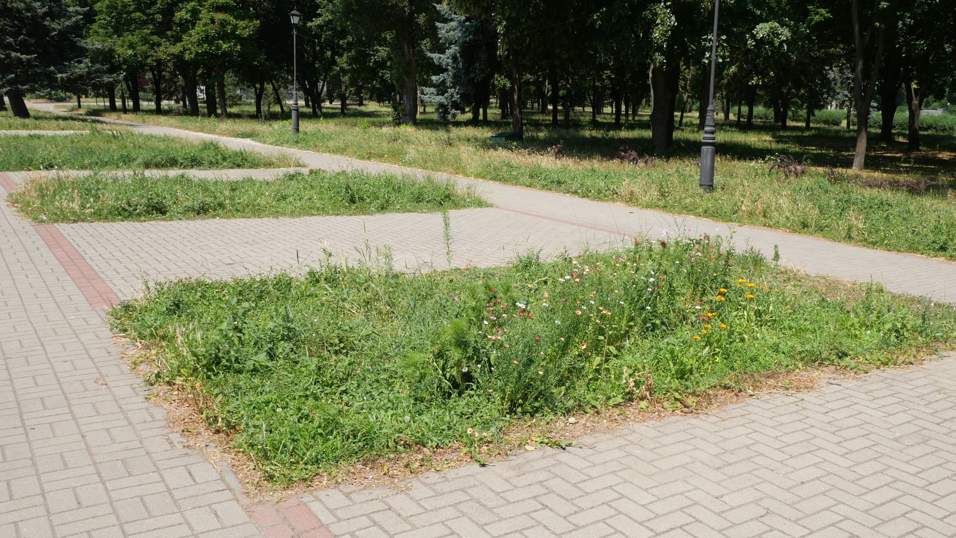 У парку Трудової слави вандали поцупили вказівники з експерементальних клумб «Екосенсу»