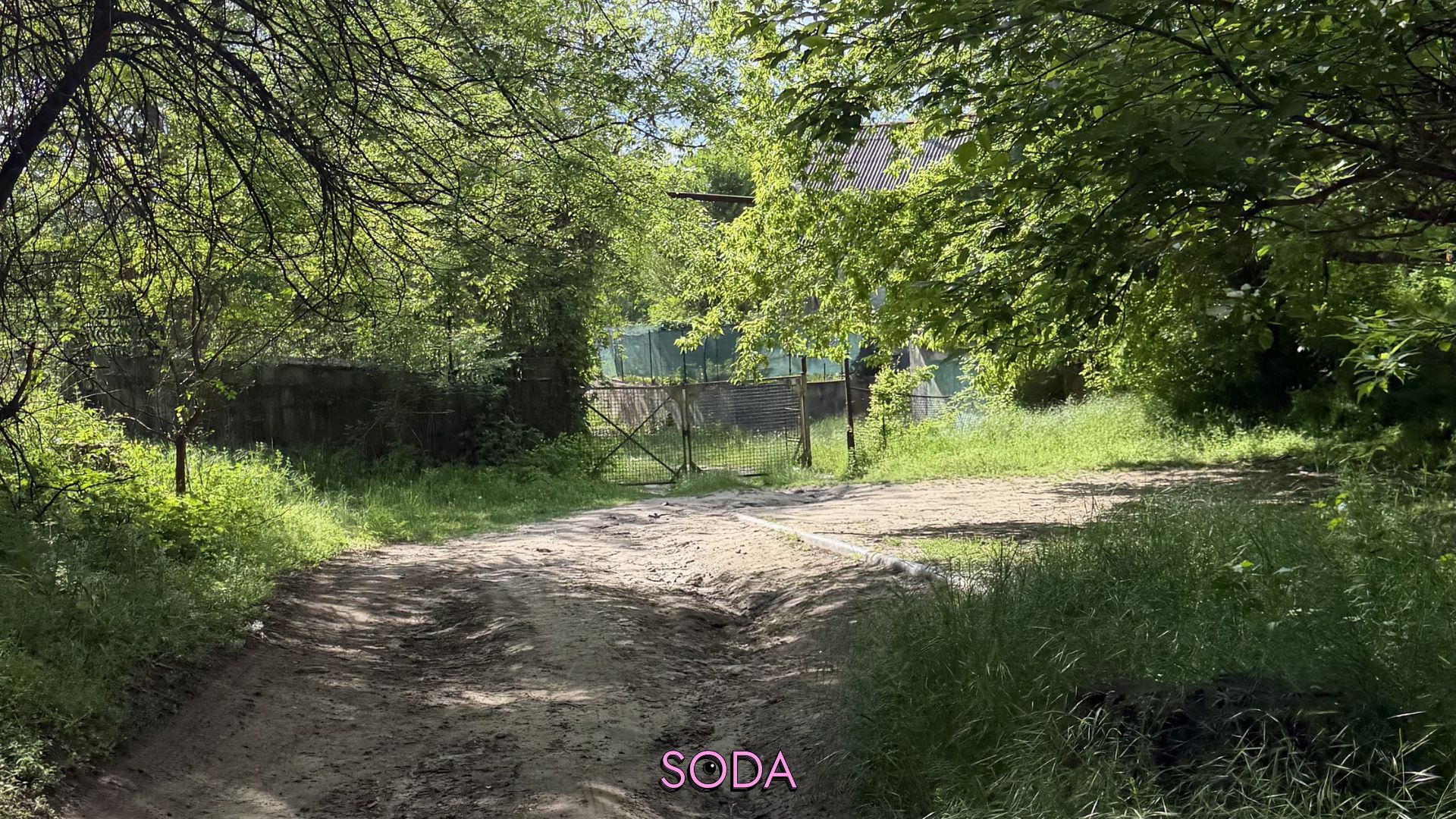 На папері є, в реальності — немає: яка ситуація з захисною смугою правого берега Дніпра в Запоріжжі