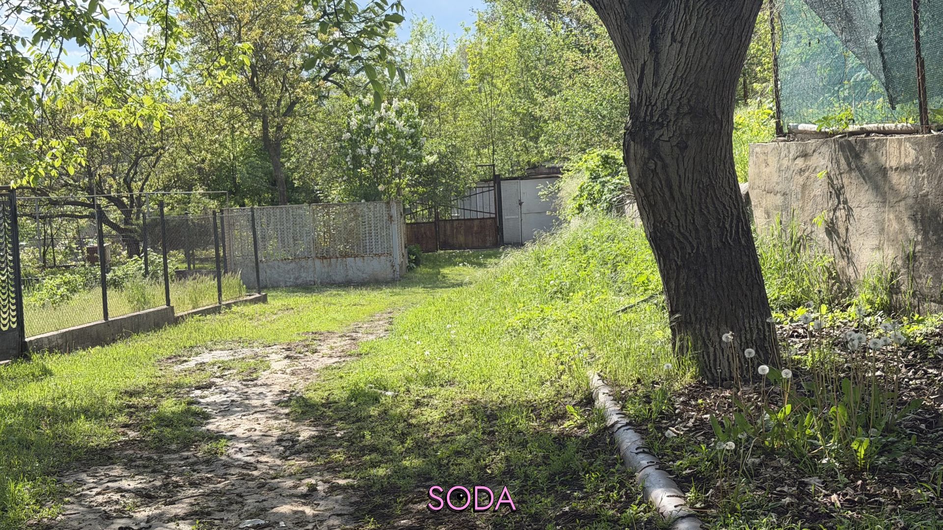 На папері є, в реальності — немає: яка ситуація з захисною смугою правого берега Дніпра в Запоріжжі