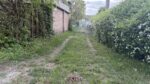 На папері є, в реальності — немає: яка ситуація з захисною смугою правого берега Дніпра в Запоріжжі