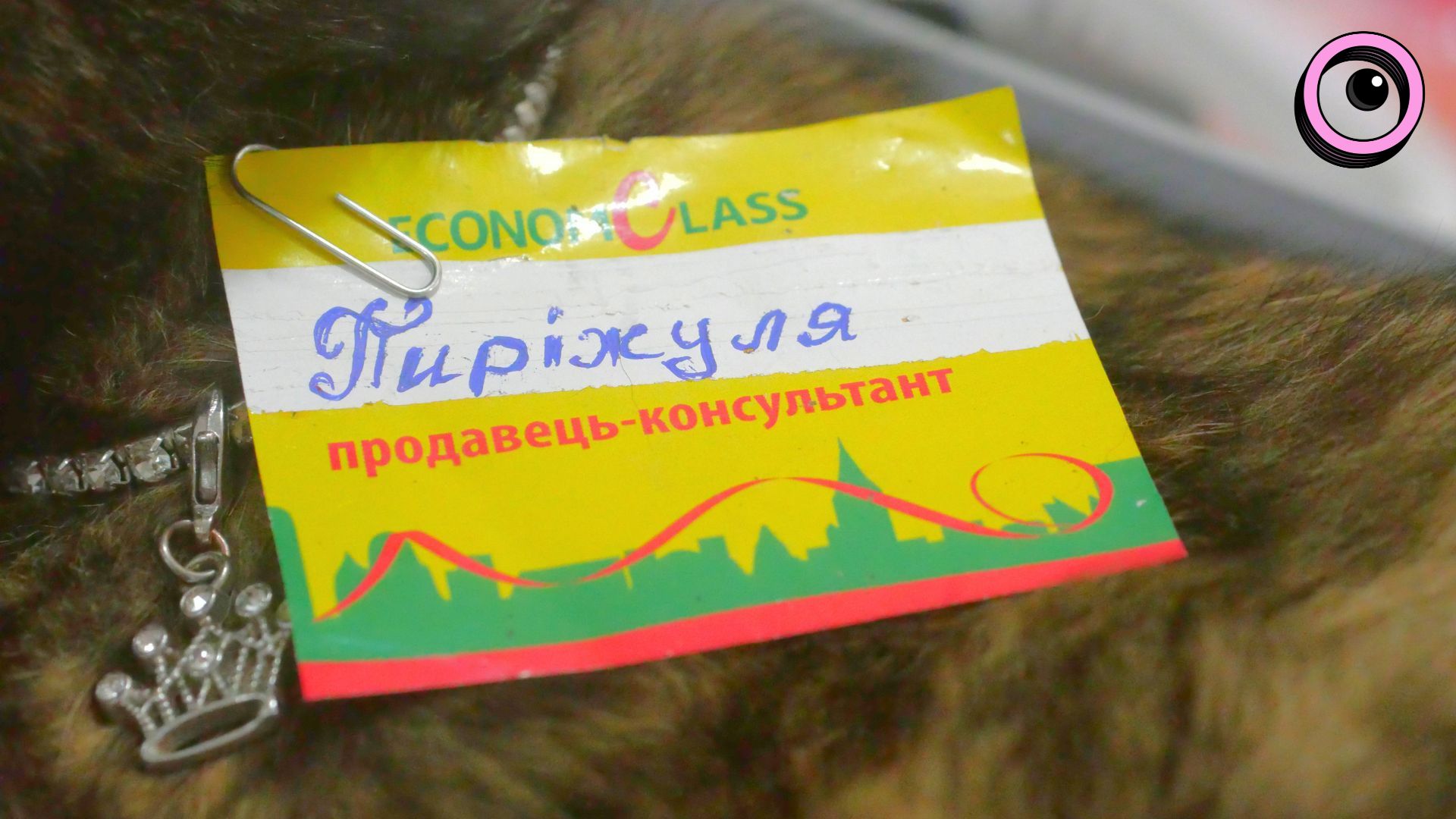 Муркотливі талісмани міста: історії запорізьких котиків