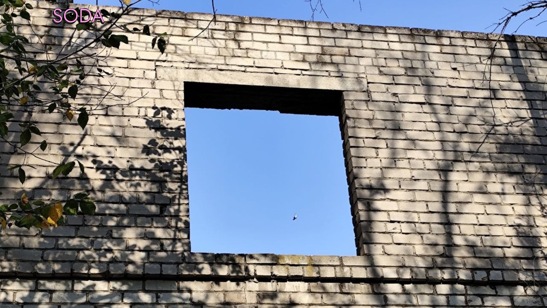 Будинок по Історичній: як промисловий гігант Запоріжжя вже 20 років орендує недобудову