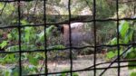 Будинок по Історичній: як промисловий гігант Запоріжжя вже 20 років орендує недобудову