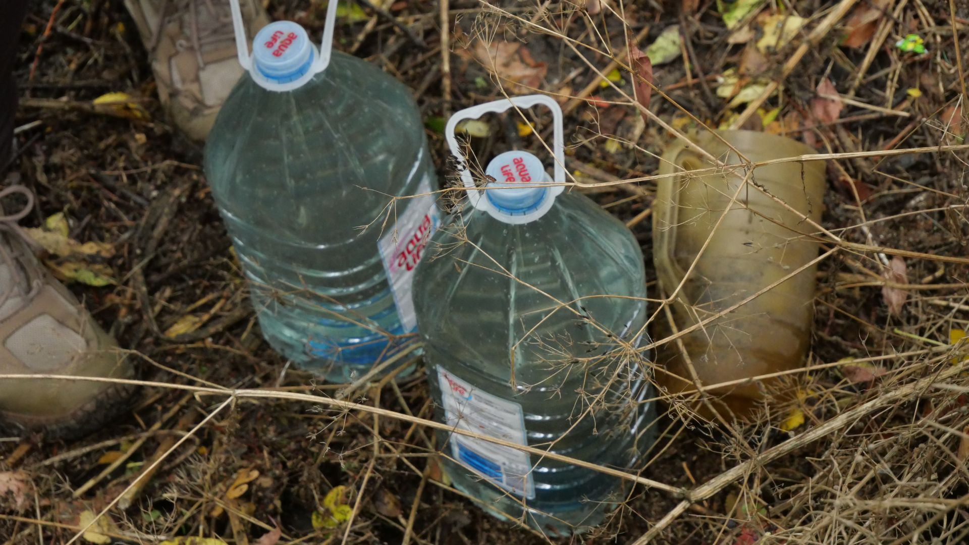 Очистити берег і перевірити воду: у Запоріжжі провели толоку на березі річки Суха