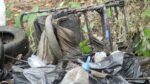 Очистити берег і перевірити воду: у Запоріжжі провели толоку на березі річки Суха