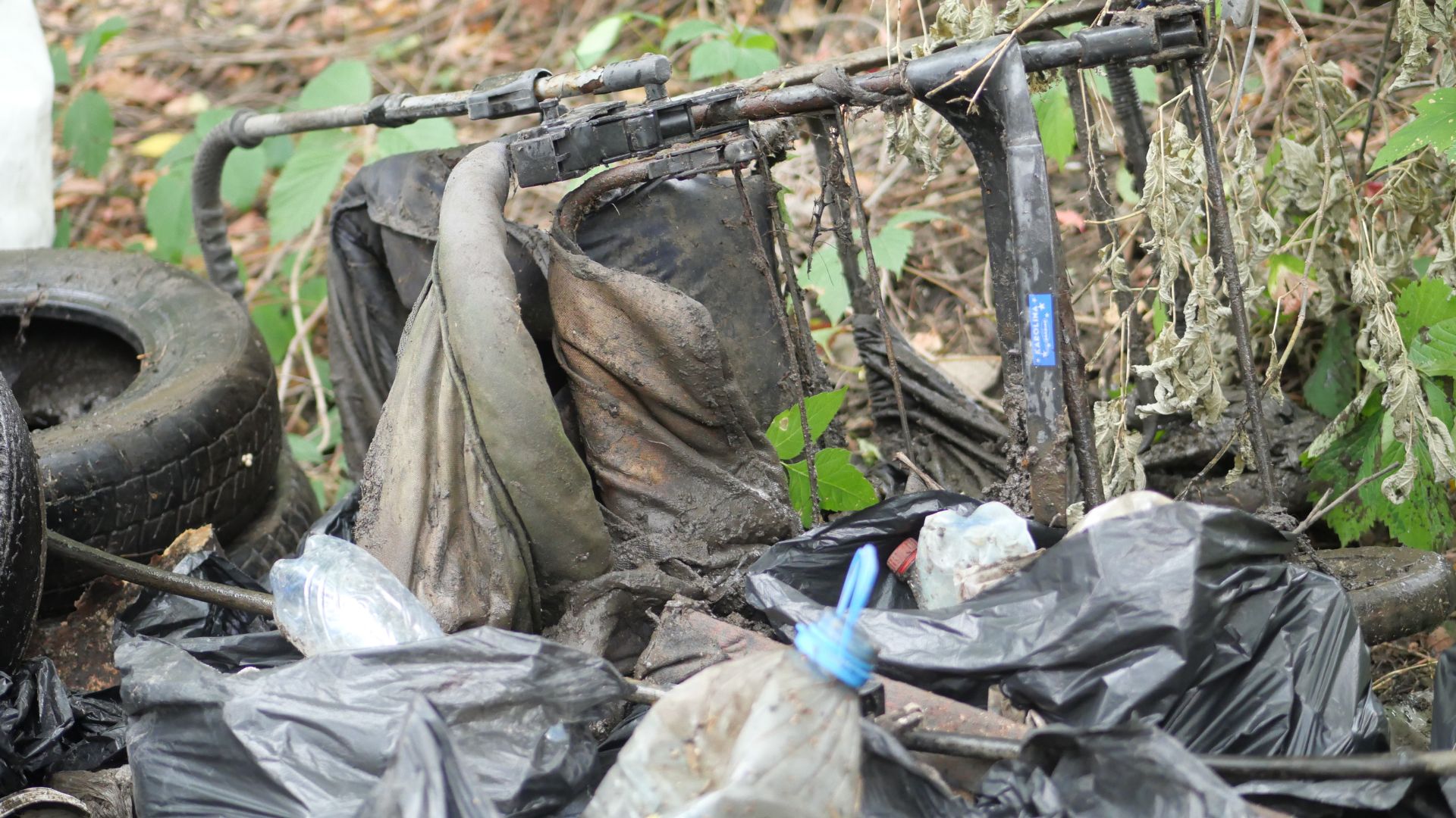 Очистити берег і перевірити воду: у Запоріжжі провели толоку на березі річки Суха