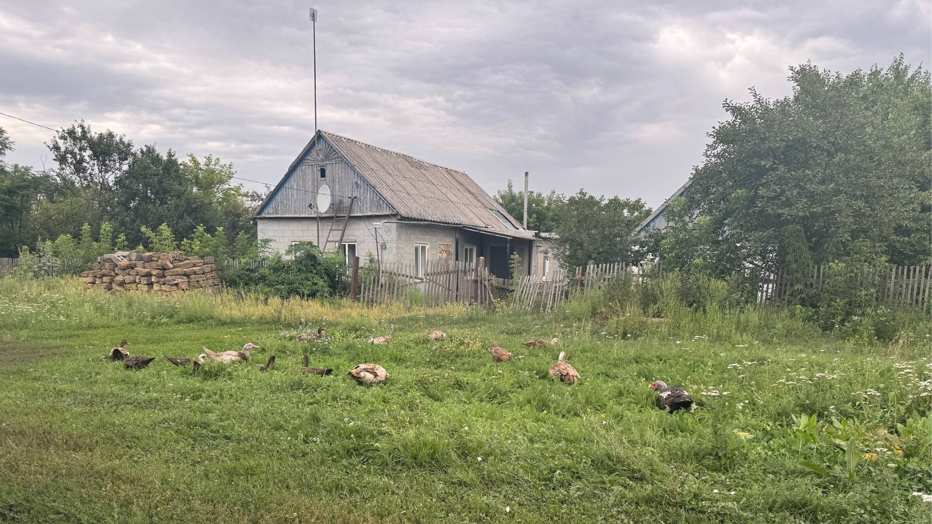 Райське: село, життя в якому більше не відповідає його назві